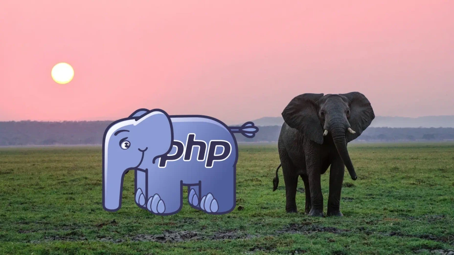 Your Next Project Will Run on PHP